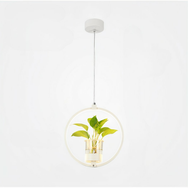 White circle LED lamp, suspended, with vase and plant in the light circle. On a white background.
