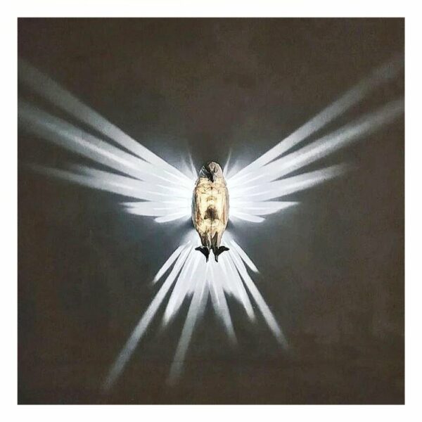 against a black background, a lighted wall sconce makes bird wings on the walls