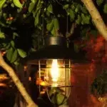 Black lantern pendant light glowing among green leaves at night