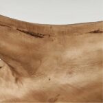 Close-up of natural wood grain and bark texture on a curved driftwood branch