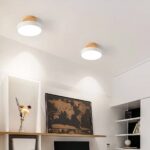 Two round wood-topped ceiling lights above a shelf with a world map print