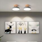 Two round wood-topped ceiling lights glowing above framed animal artwork