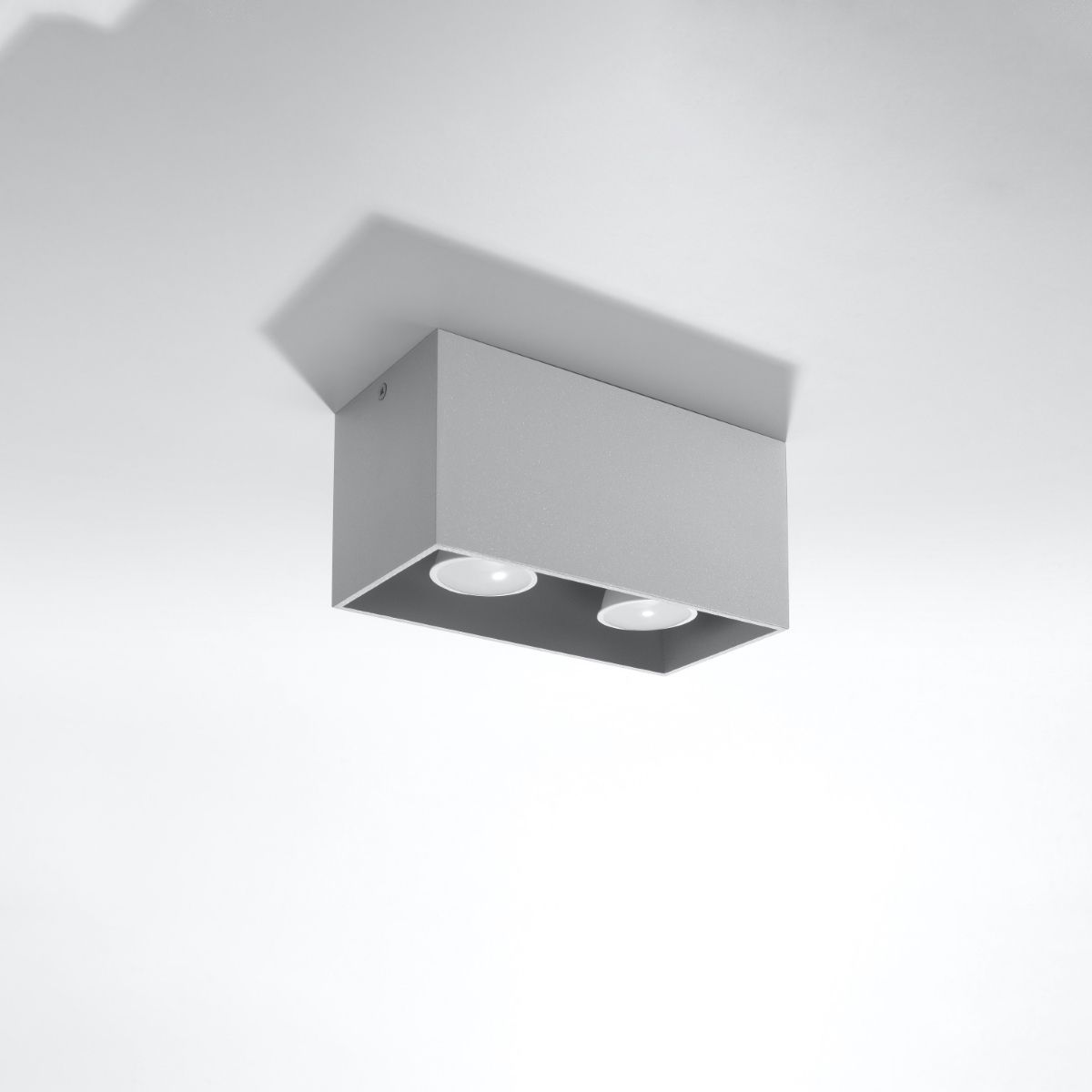 Rectangular grey aluminium ceiling light with two round lenses
