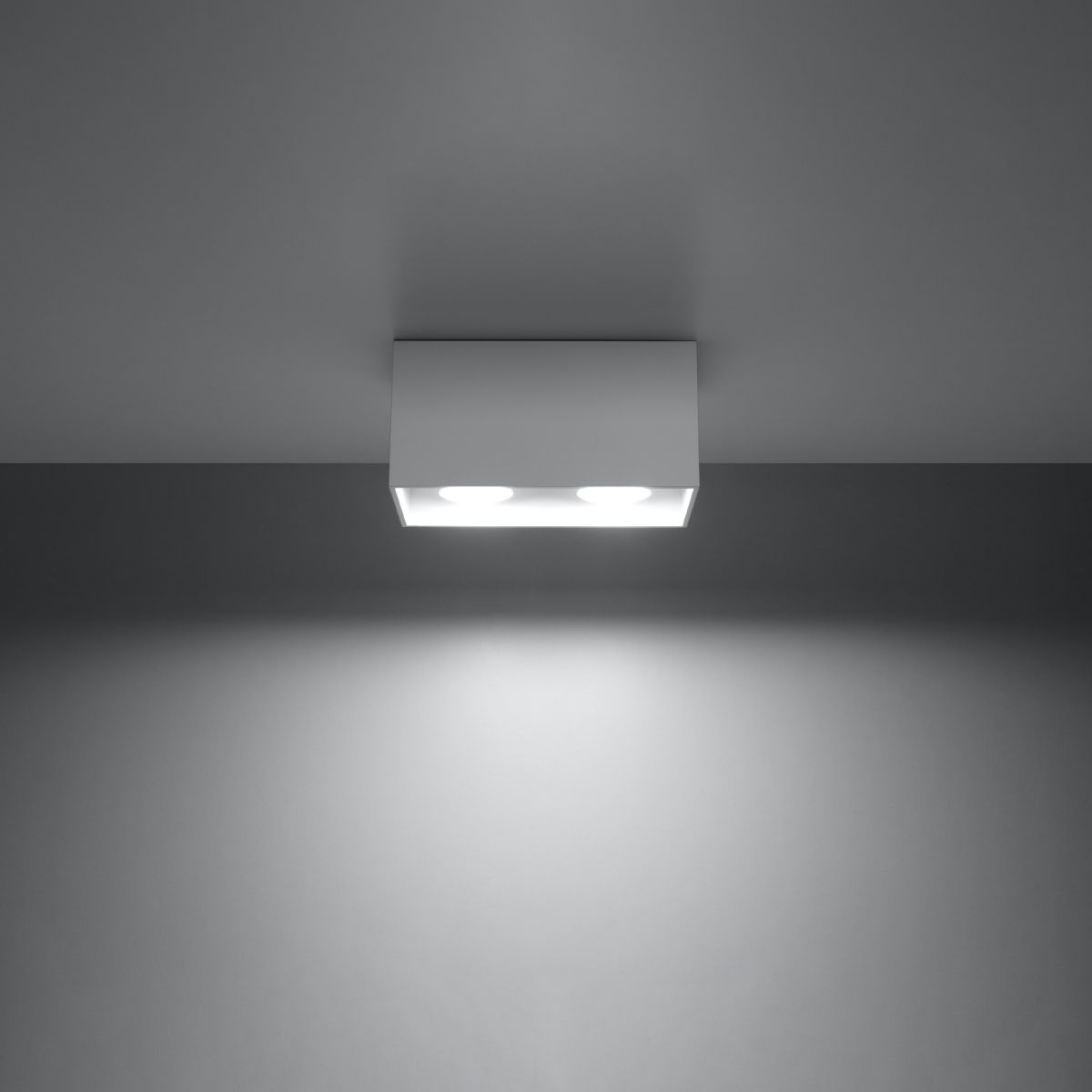 White rectangular surface ceiling light casting two round beams of light