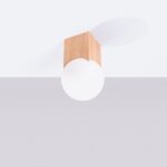 Wood cube ceiling light with a round opal glass globe below