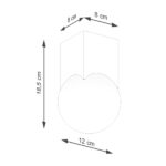 Dimensions diagram showing 18.5 cm height and a 12 cm globe diameter
