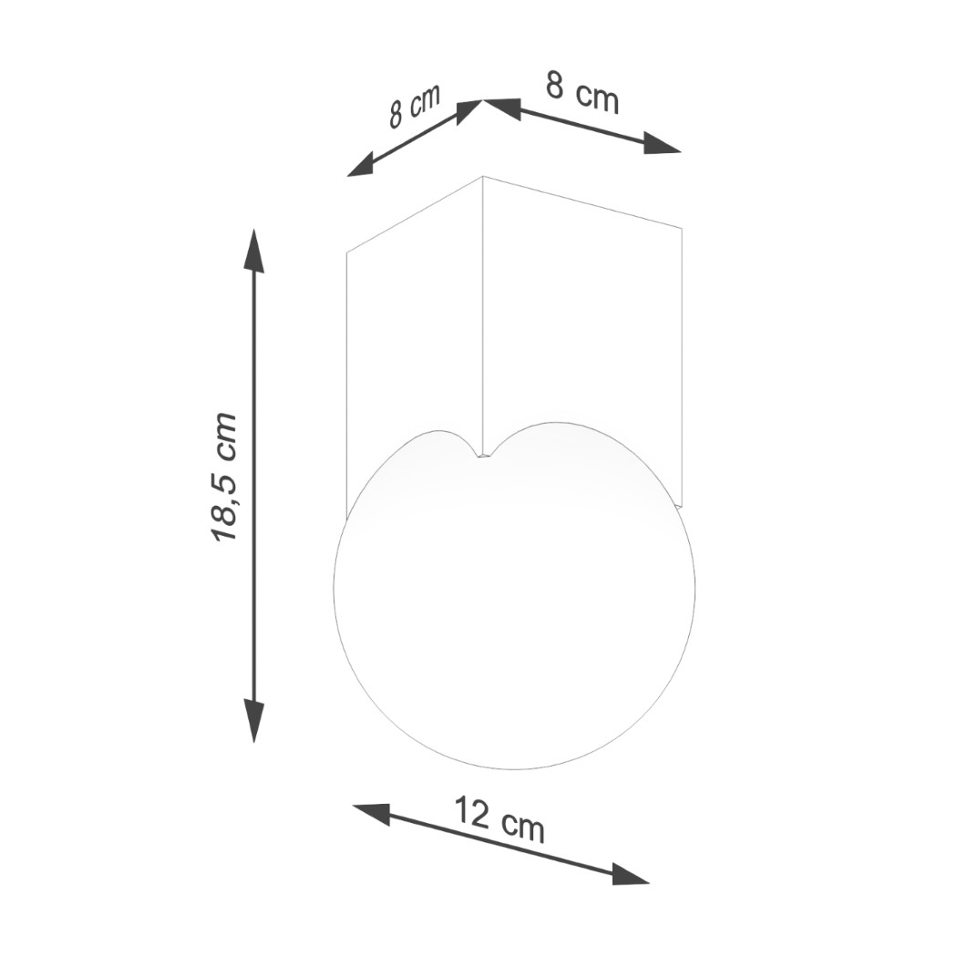 Dimensions diagram showing 18.5 cm height and a 12 cm globe diameter