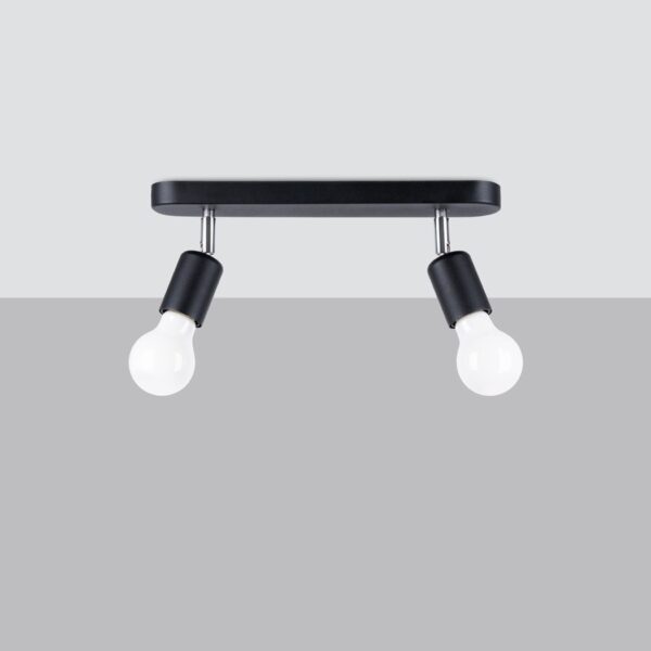Black ceiling light bar holding two exposed round bulbs