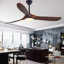 Fan Ceiling Light category image