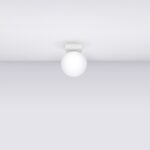 Small ceiling light with a white glass globe and minimal mount
