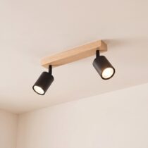 Multi-Head Ceiling Light category image