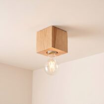Square Ceiling Light category image