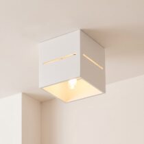 Small Ceiling Light category image
