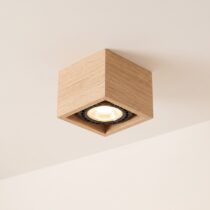 Hall Ceiling Light category image