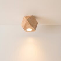Origami Ceiling Light category image