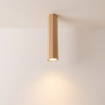 Minimalist Ceiling Light category image