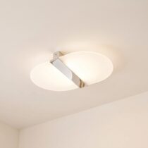 Oval Ceiling Light category image