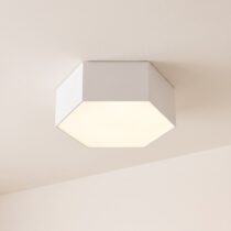 Flat Ceiling Light category image