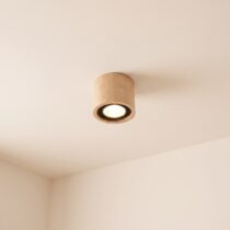 Spot Ceiling Light category image