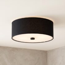 Bathroom Ceiling Light category image